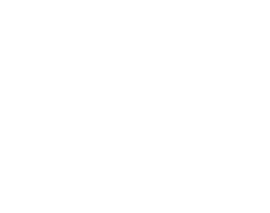 DZS