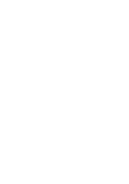 UV Zakladi
